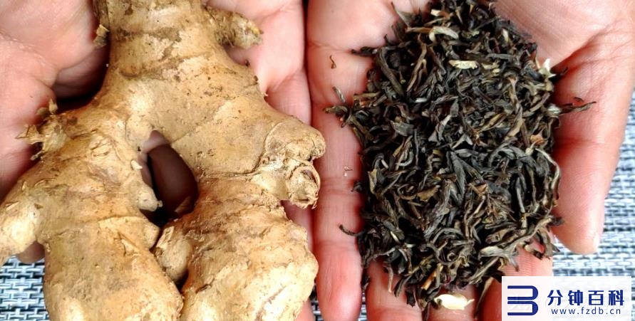 姜能放冰箱冷藏吗(鲜生姜的保存最好方法)插图5 姜能放冰箱冷藏吗(鲜生姜的保存最好方法)插图5