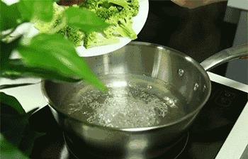 豆角炒鸡蛋有毒吗(豆角炒鸡蛋是哪里的菜)插图 豆角炒鸡蛋有毒吗(豆角炒鸡蛋是哪里的菜)插图