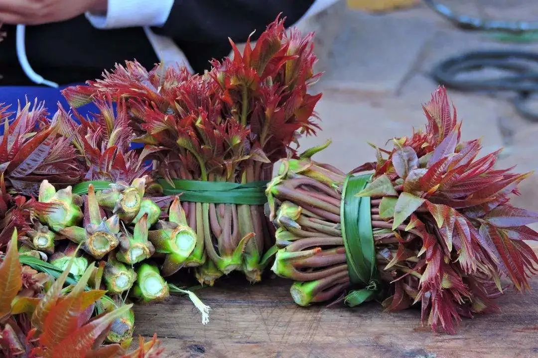 豆角炒鸡蛋有毒吗(豆角炒鸡蛋是哪里的菜)插图1 豆角炒鸡蛋有毒吗(豆角炒鸡蛋是哪里的菜)插图1