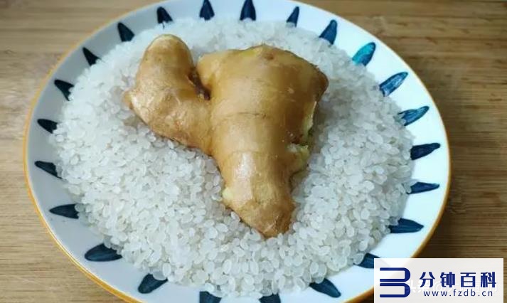 姜能放冰箱冷藏吗(鲜生姜的保存最好方法)插图6 姜能放冰箱冷藏吗(鲜生姜的保存最好方法)插图6