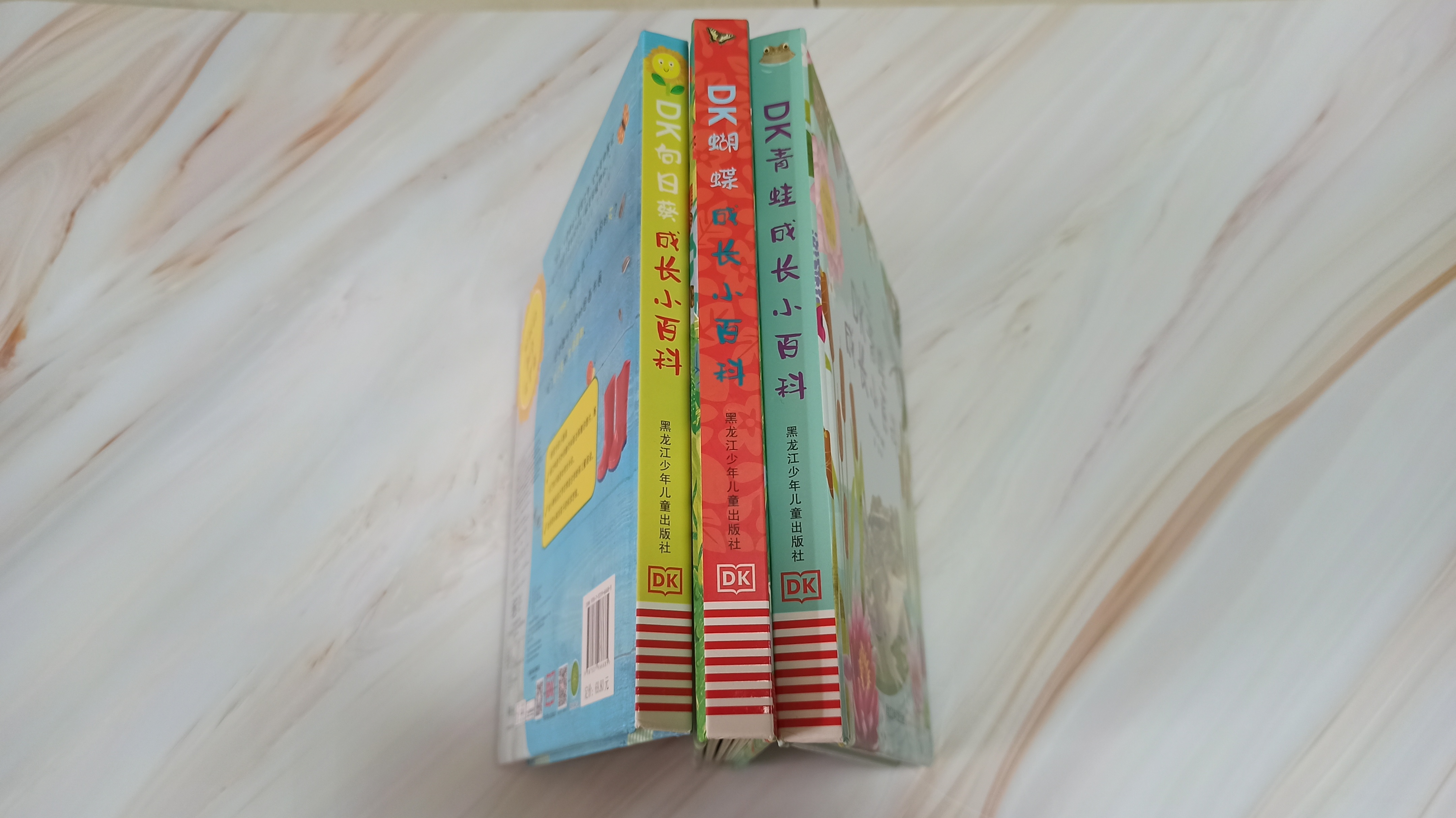 青蛙生长的五个过程插图2 青蛙生长的五个过程插图2