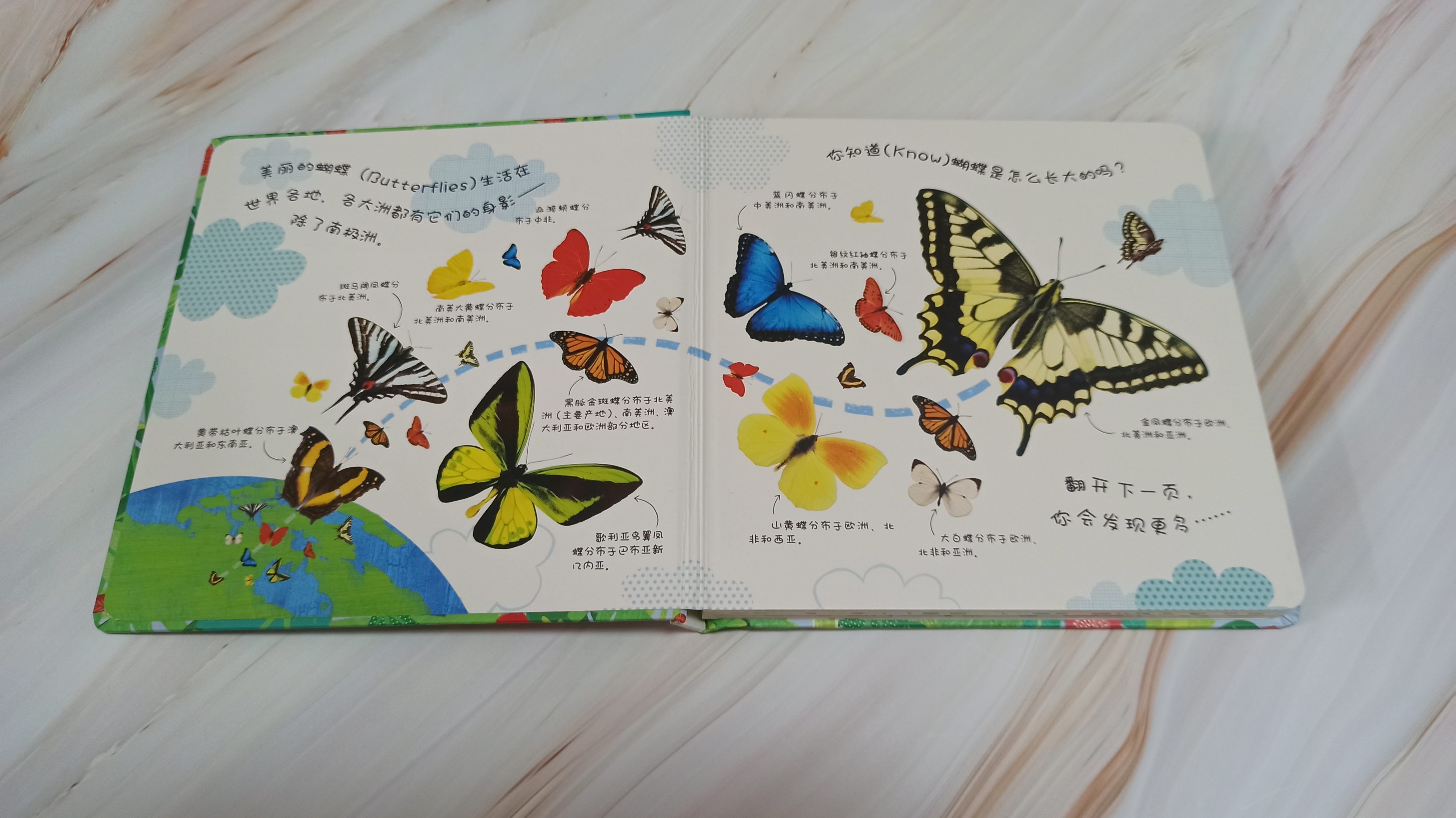 青蛙生长的五个过程插图3 青蛙生长的五个过程插图3