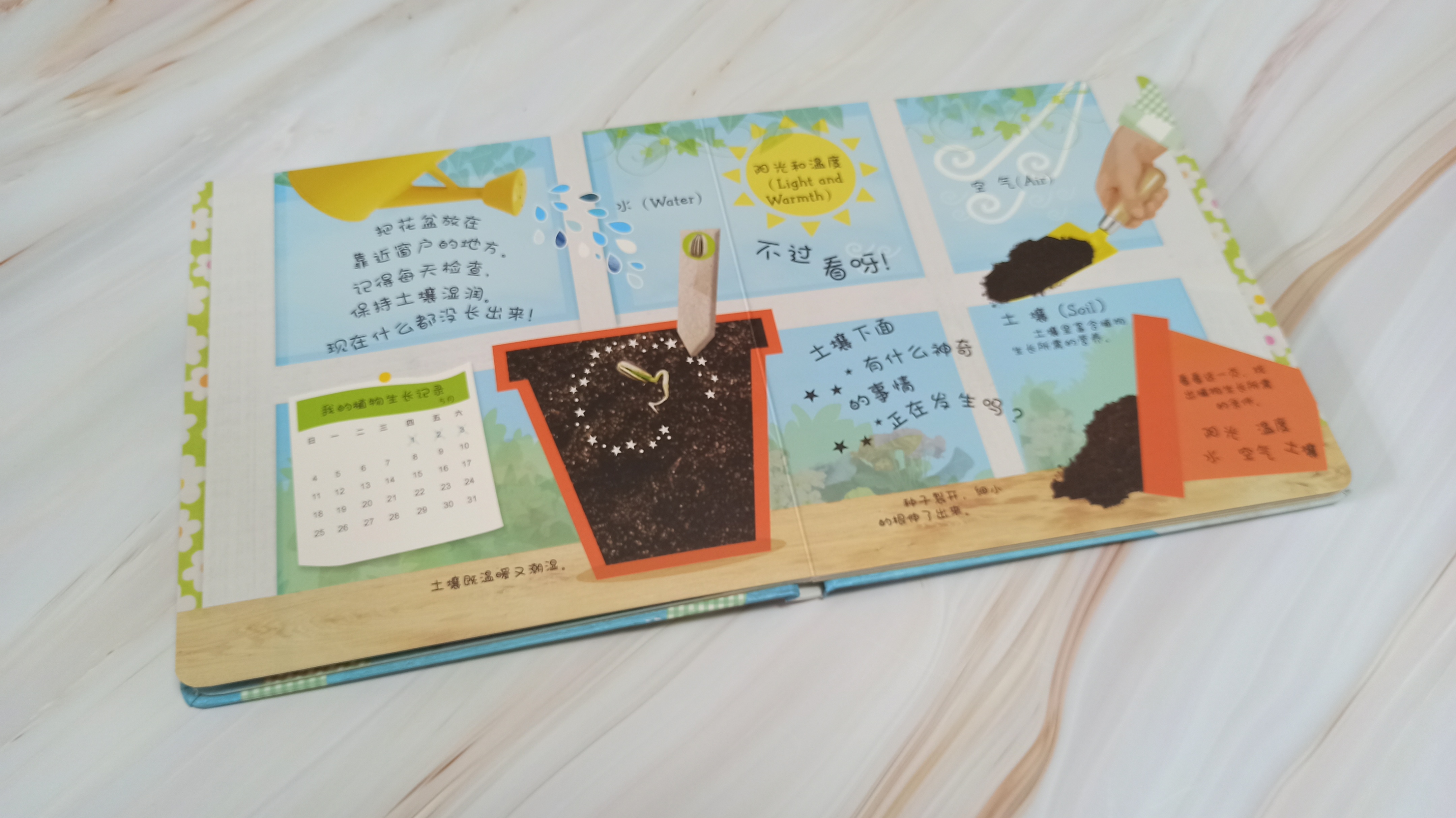 青蛙生长的五个过程插图10 青蛙生长的五个过程插图10
