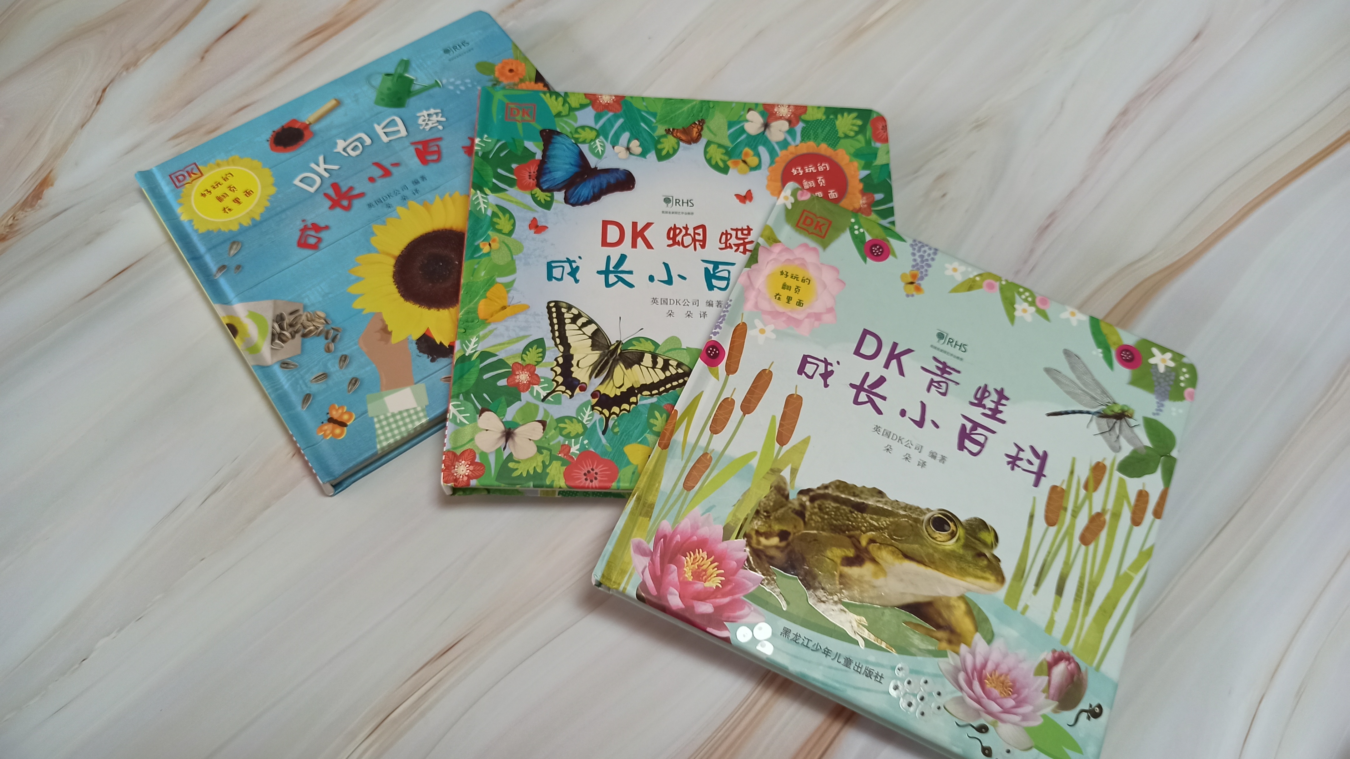 青蛙生长的五个过程插图 青蛙生长的五个过程插图