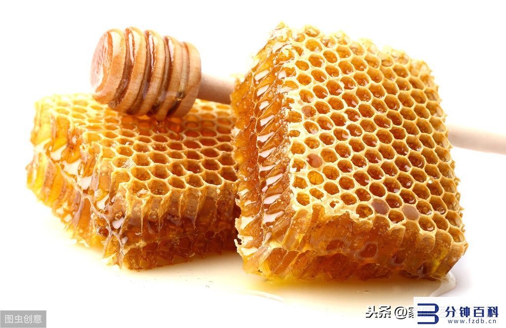 蜂胶的十大功效_蜂胶的十大功效与作用禁忌与副作用插图 蜂胶的十大功效_蜂胶的十大功效与作用禁忌与副作用插图