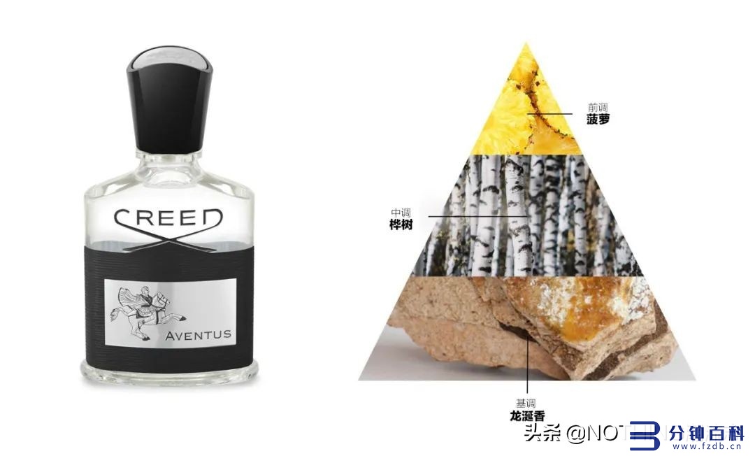 最好的香水牌子排名第一_哪个大牌香水最好闻插图3 最好的香水牌子排名第一_哪个大牌香水最好闻插图3