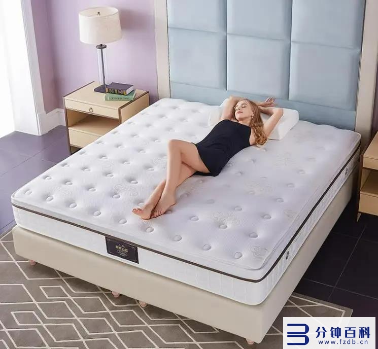 最好的床垫排名_床垫十大名牌排行榜插图15 最好的床垫排名_床垫十大名牌排行榜插图15