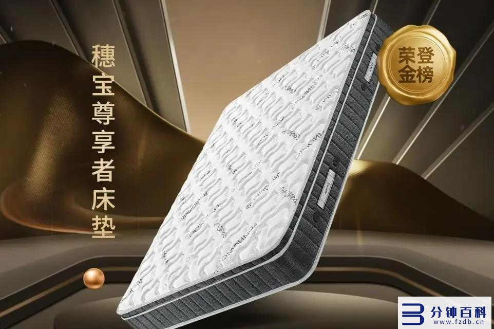 最好的床垫排名_床垫十大名牌排行榜插图8 最好的床垫排名_床垫十大名牌排行榜插图8