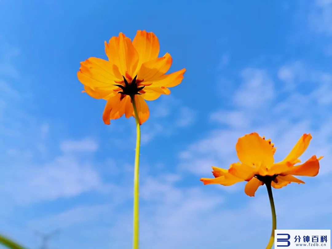 正当时的励志诗句_什么正当时的励志诗句插图6 正当时的励志诗句_什么正当时的励志诗句插图6