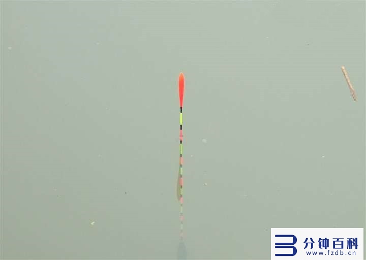 调漂的正确方法,调漂的正确方法视频教程插图2 想要调漂又快又准,不妨试试这两种方法