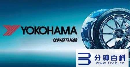轮胎品牌排行榜前十名,轮胎品牌排行榜前十名优缺点插图10 全球轮胎企业10强-2022