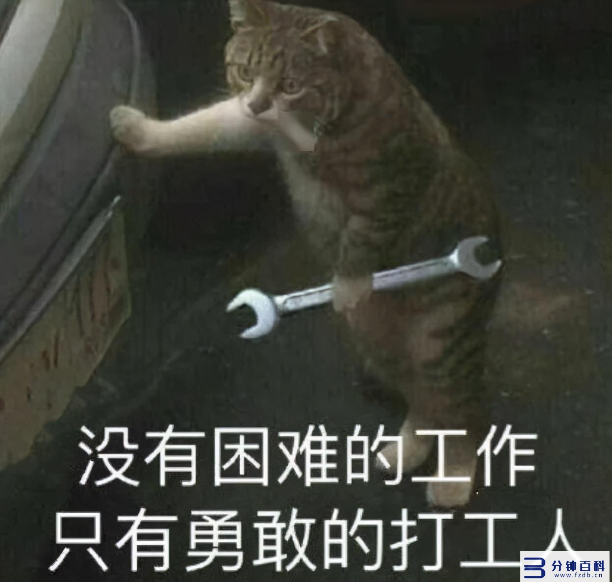 深圳医院排名(北京大学深圳医院排名)插图13 深圳医院排名(北京大学深圳医院排名)插图13