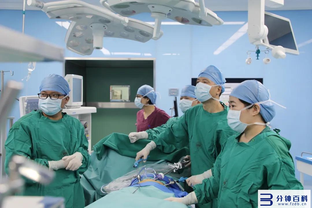 深圳医院排名(北京大学深圳医院排名)插图7 深圳医院排名(北京大学深圳医院排名)插图7