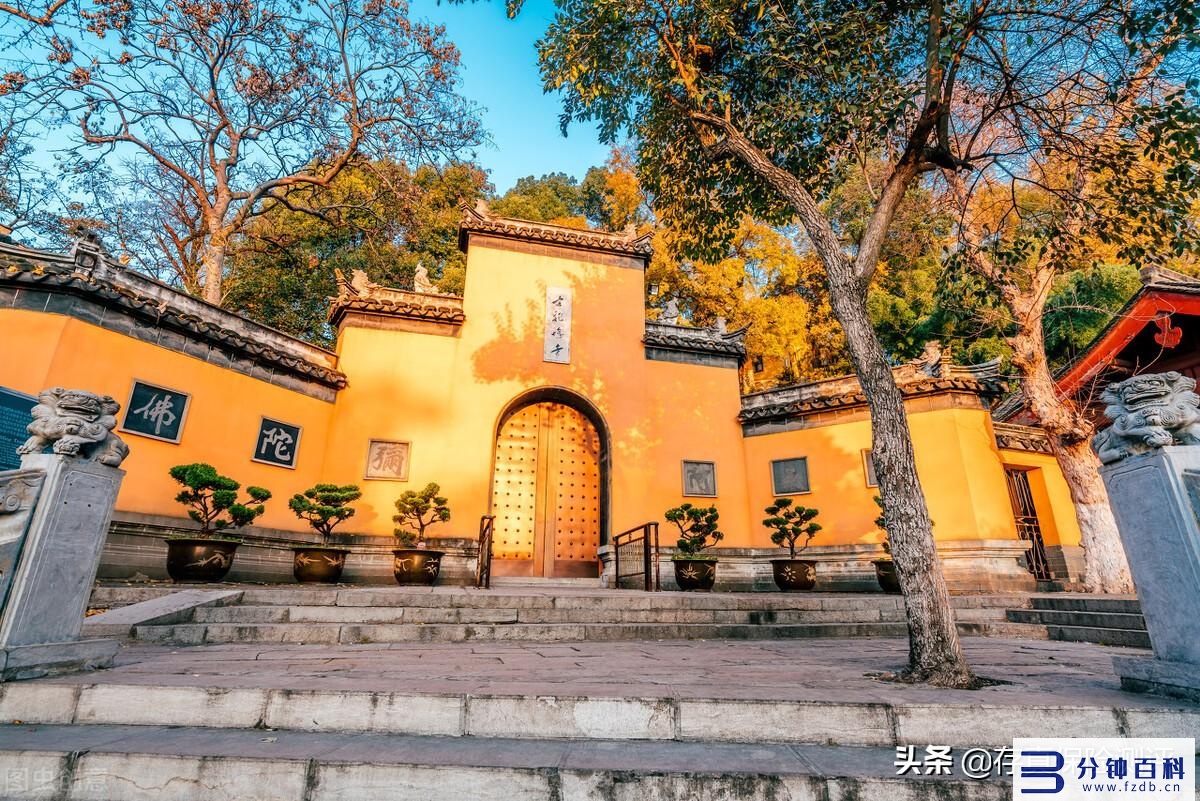 储蓄型保险的优缺点(储蓄型保险的好处)插图2 储蓄型保险的优缺点(储蓄型保险的好处)插图2